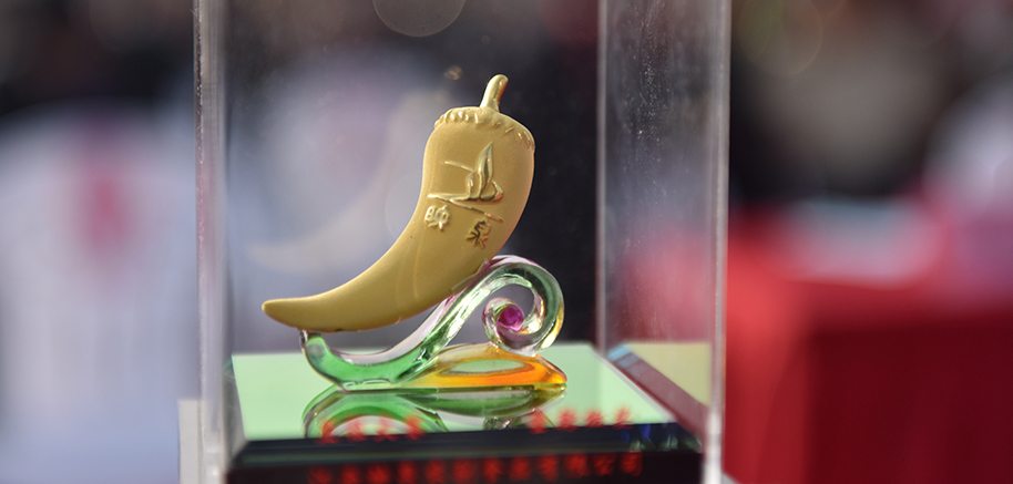 2017进贤县畲族·脯辣椒文化节开幕